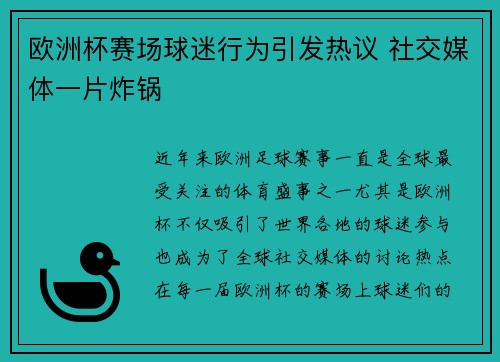 欧洲杯赛场球迷行为引发热议 社交媒体一片炸锅